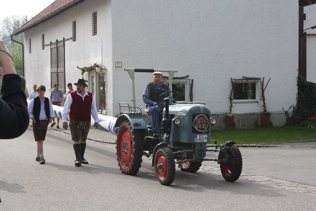 Maibaum 2013